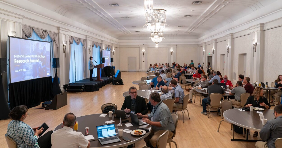National Swine Health Strategy research summit crowd with Marisa Rotolo speaking