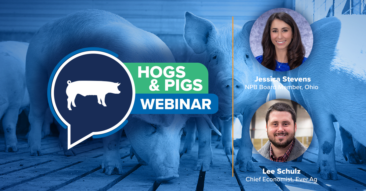 09-2026 Hogs and Pigs Report webinar insights with Lee Schulz